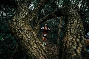 BIB: 
                            <button type="button" onclick="openModal(25682544)" class="btn btn-primary btn-sm float-right btn-popup" data-toggle="modal" data-target=".modal-high-quality">
                        <i class="fas fa-shopping-cart"></i> Add to Cart
                    </button>
                                            <button type="button" onclick="isThisMe(25682544, true)" class="btn btn-success btn-sm float-right btn-popup btn-isme hidden" data-toggle="tooltip" data-placement="bottom" title="นี่คือรูปของคุณใช่ไหม คลิกที่นี่เพื่อเอาเข้าอัลบั้ม">
                        <i class="fas fa-plus"></i> Add to album
                    </button>
                    <button type="button" onclick="isThisMe(25682544, false)" class="btn btn-warning btn-sm float-right btn-popup btn-isnotme hidden">
                        <i class="fas fa-ban"></i> Remove from album
                    </button>